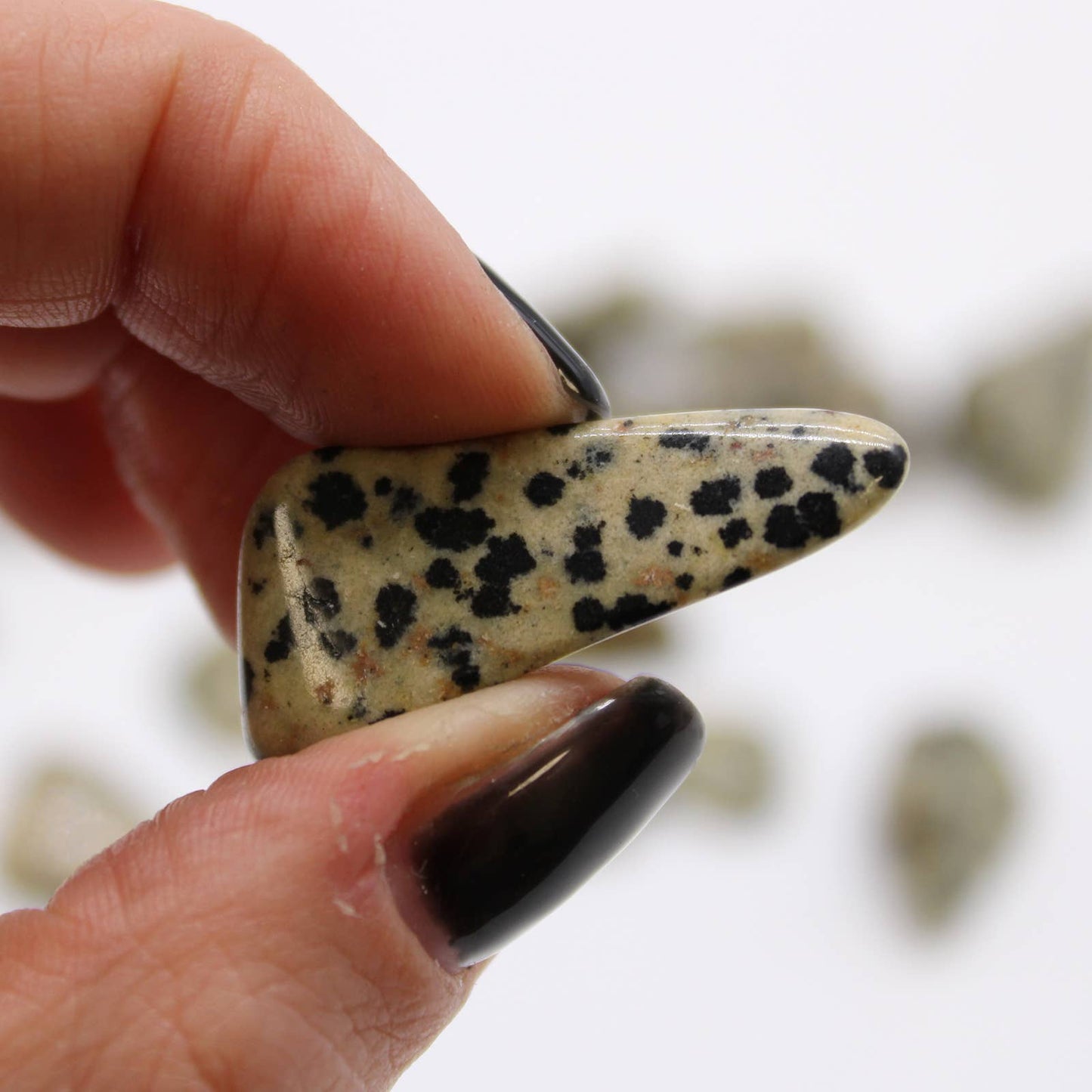 Dalmatian Tumble Stone