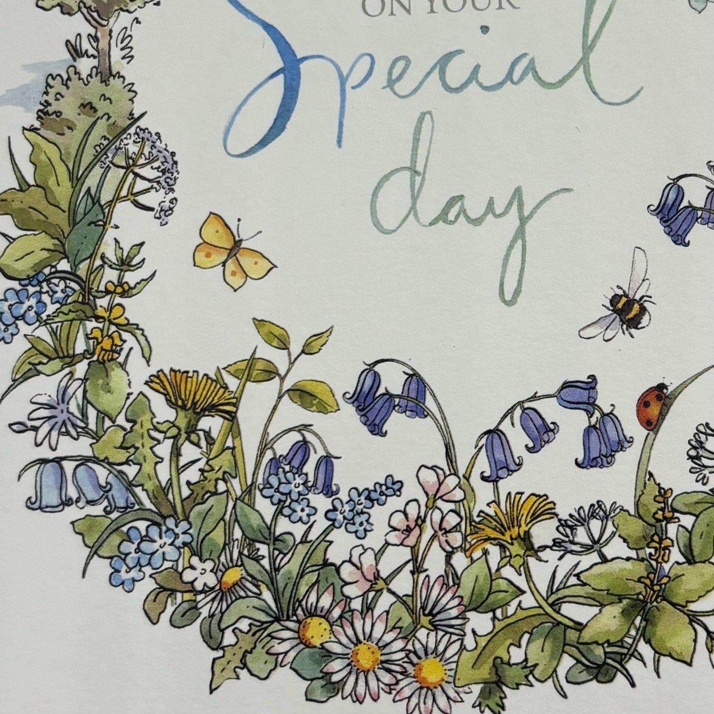 On Your Special Day Card