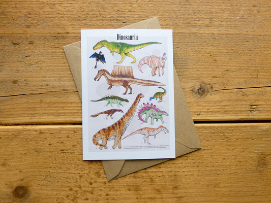 Hand Illustrated Postcards