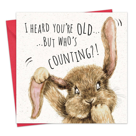 Bunny Rabbit Who's Counting Funny Birthday Card