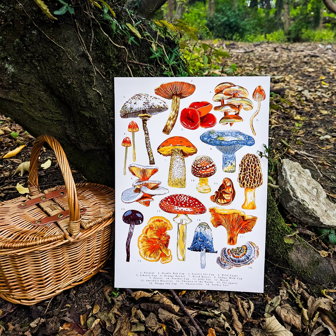 Mushroom Illustration Art Print