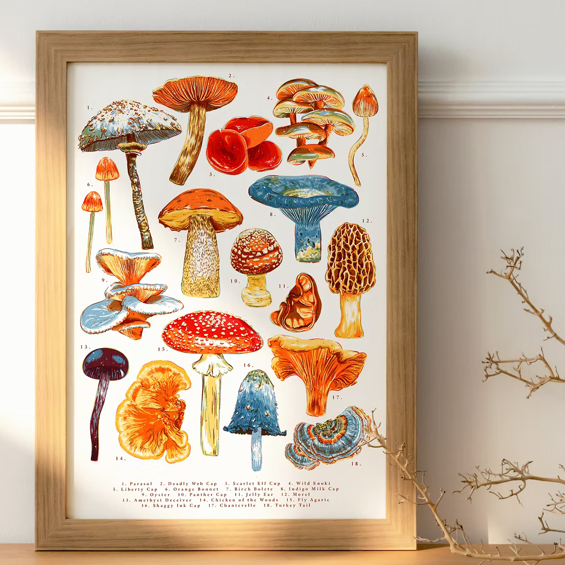 Mushroom Illustration Art Print