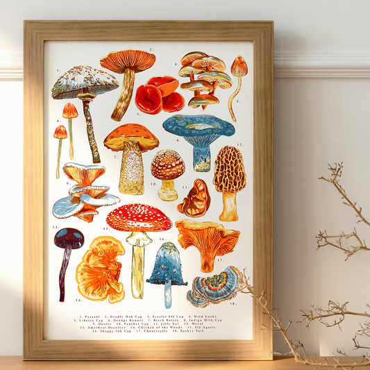 Mushroom Illustration Art Print