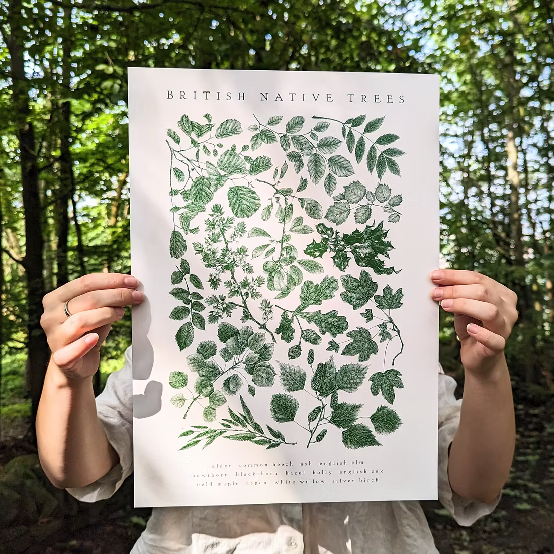 British Native Trees Premium Art Print