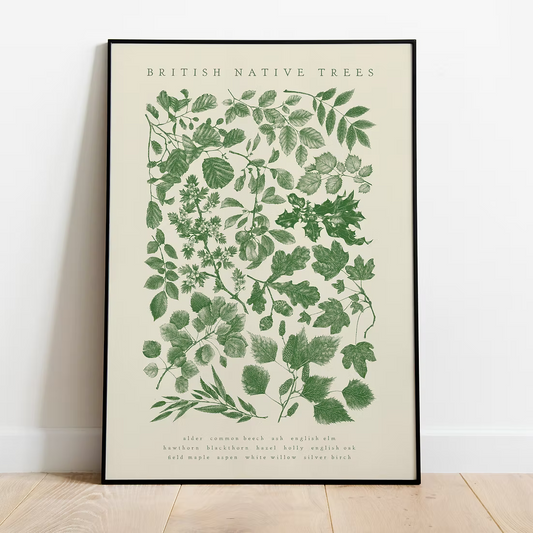 British Native Trees Premium Art Print