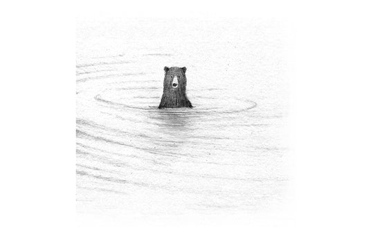 Greeting Card – Bear in Water