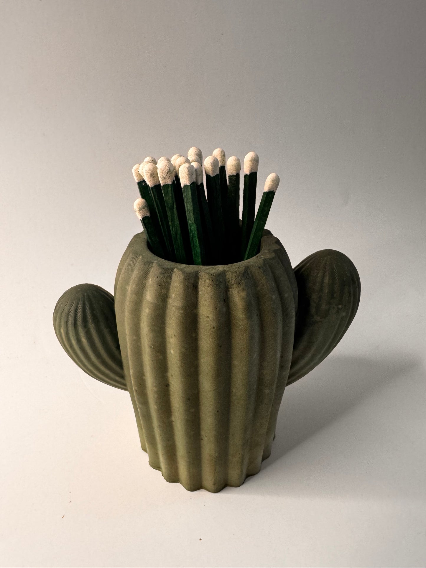 Cactus Match Striker Pot