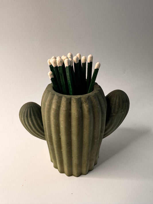 Cactus Match Striker Pot