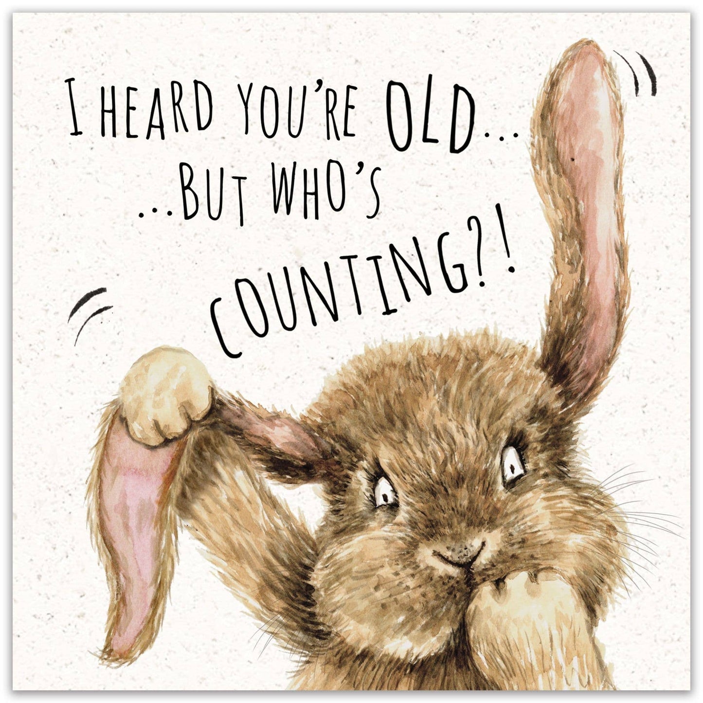 Bunny Rabbit Who's Counting Funny Birthday Card