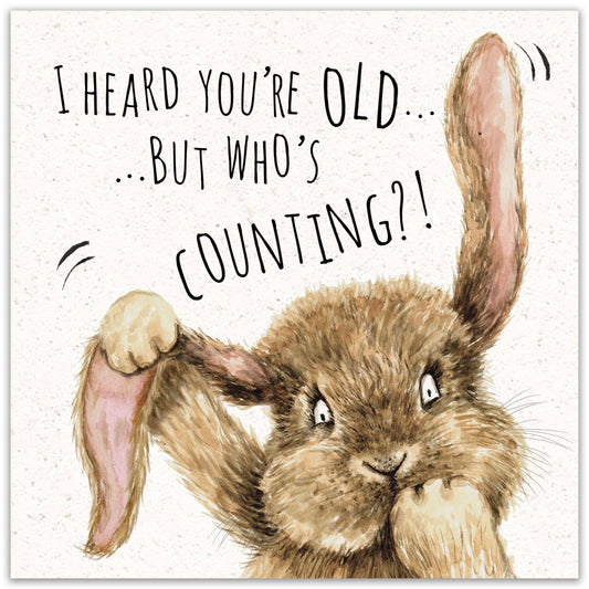 Bunny Rabbit Who's Counting Funny Birthday Card