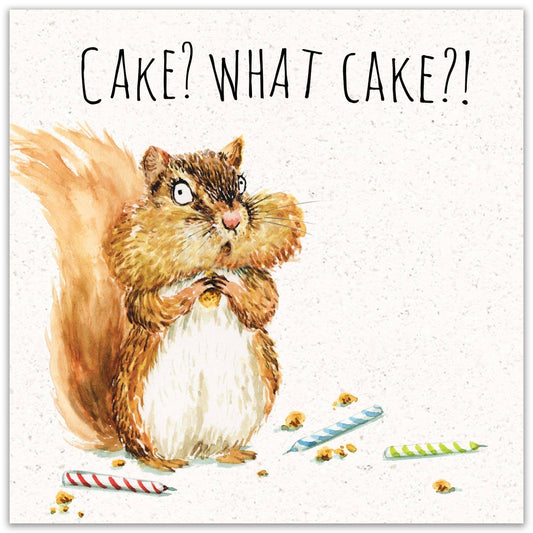 What Cake Funny Birthday Card