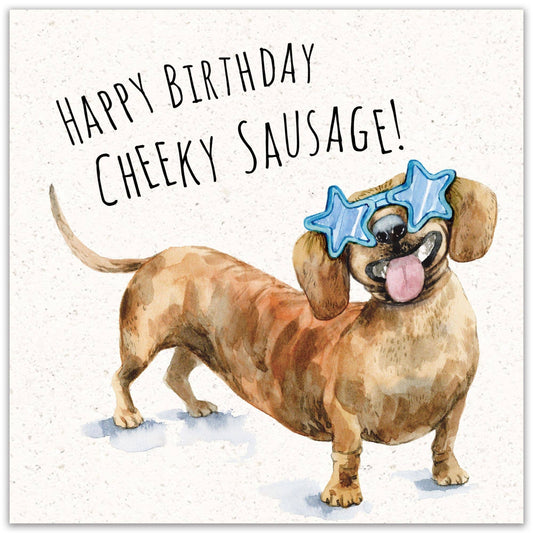 Cheeky Sausage Dog Funny Birthday Card