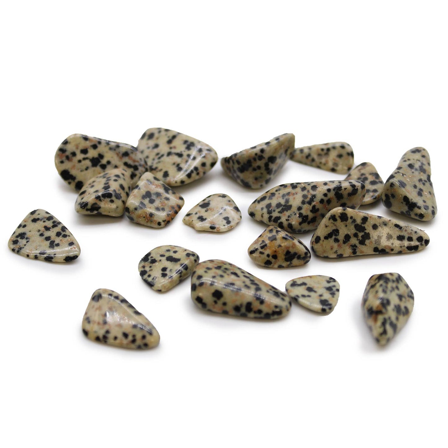 Dalmatian Tumble Stone
