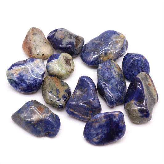 Spotted Sodalite African Tumble Stone