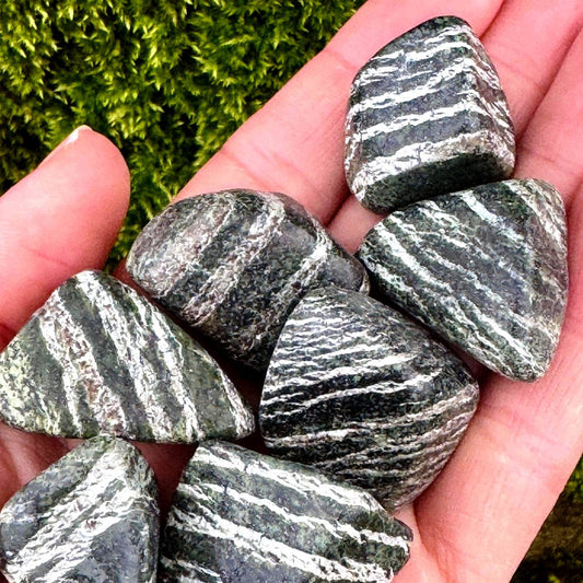 Zebra Jasper Tumble Stone