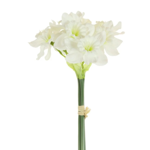 Ruffled daffodil Bunch